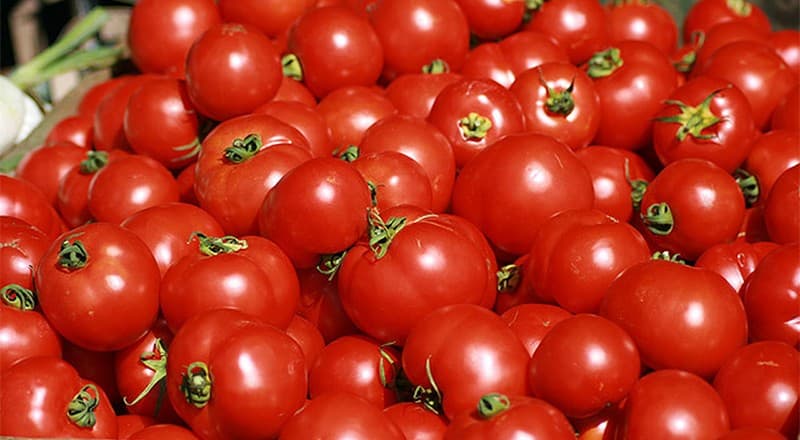 images/1677572849793toamto grading machine.jpg